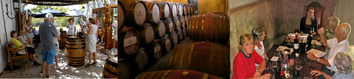 Wellington Wine Walk cellar tastings