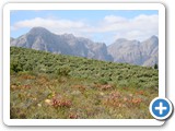 Fynbos and the Mountains